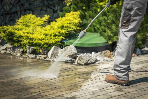 Best Sign and Awning Cleaning  in Warm Mineral Springs, FL