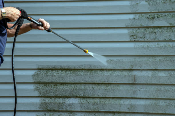 Best Driveway Pressure Washing  in Warm Mineral Springs, FL